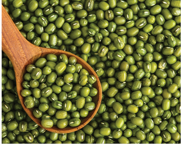 Đậu Xanh